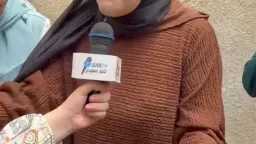 الجامعات والمدارس