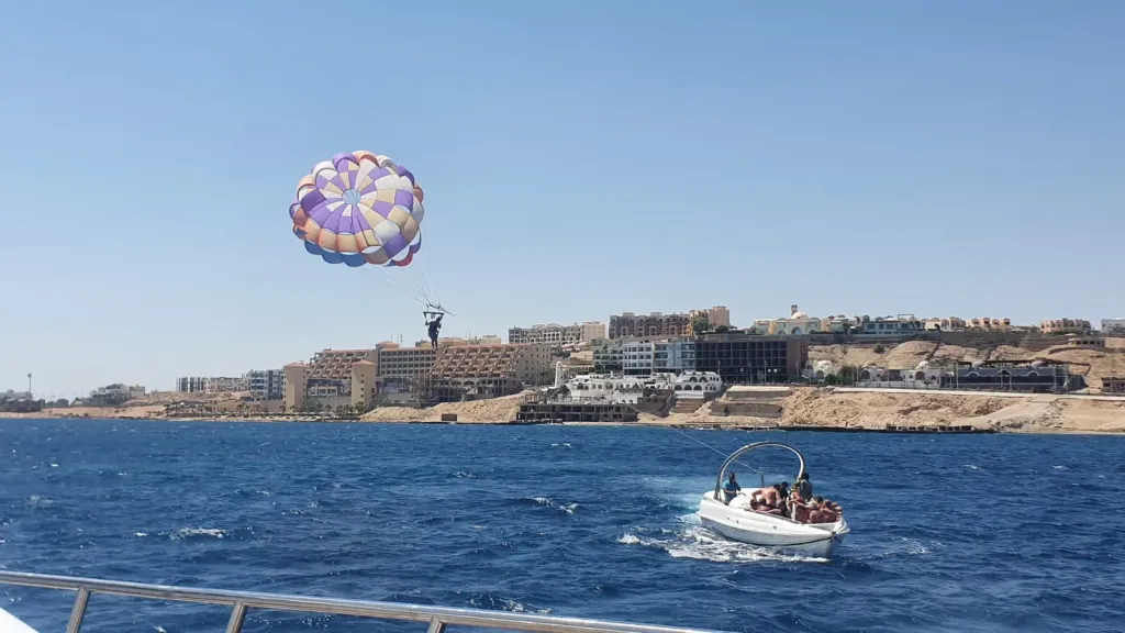 دوريات بحرية بالبحر الأحمر لحماية الدلافين من الإزعاج خلال رحلات العيد