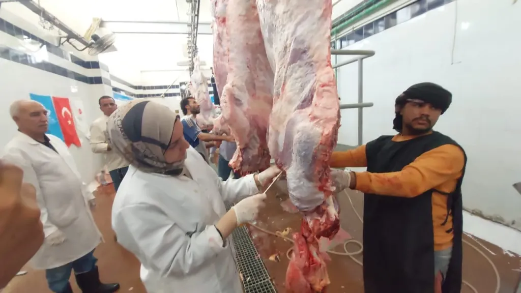 لليوم الثاني انتظام العمل بمجازر البحر الاحمر والذبح مجانا