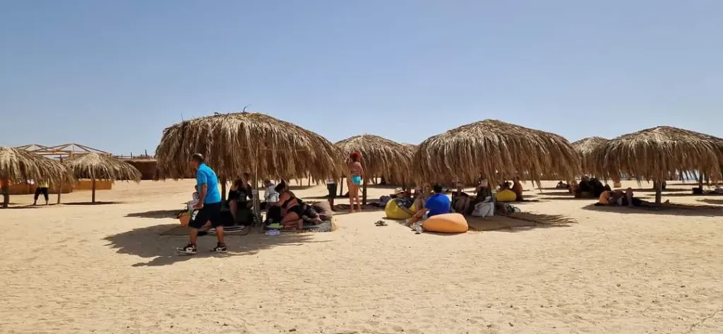 جوهرة الجزر البحرية "مجاويش".. أيقونة السياحة البيئية خلال اجازة العيد الغردقة