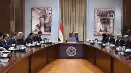 التقارير والحوارات