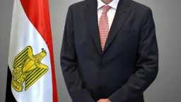 التقارير والحوارات