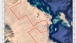 التقارير والحوارات