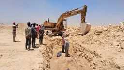 التقارير والحوارات