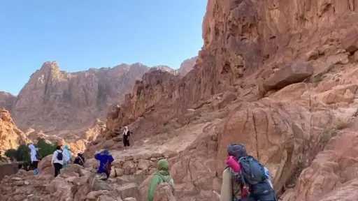 البيئة والغوص