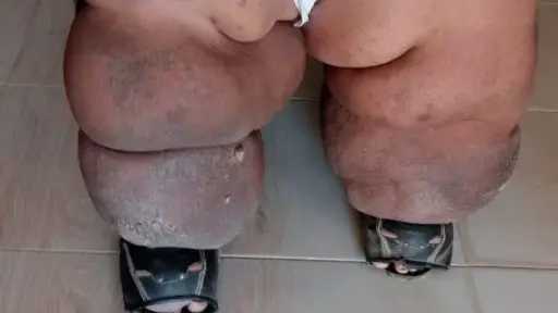 الأخبار